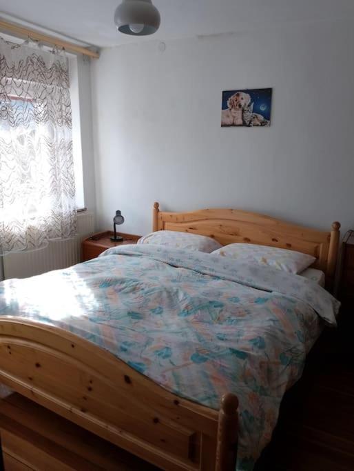 Mountain Apartman Alleghe Kültér fotó