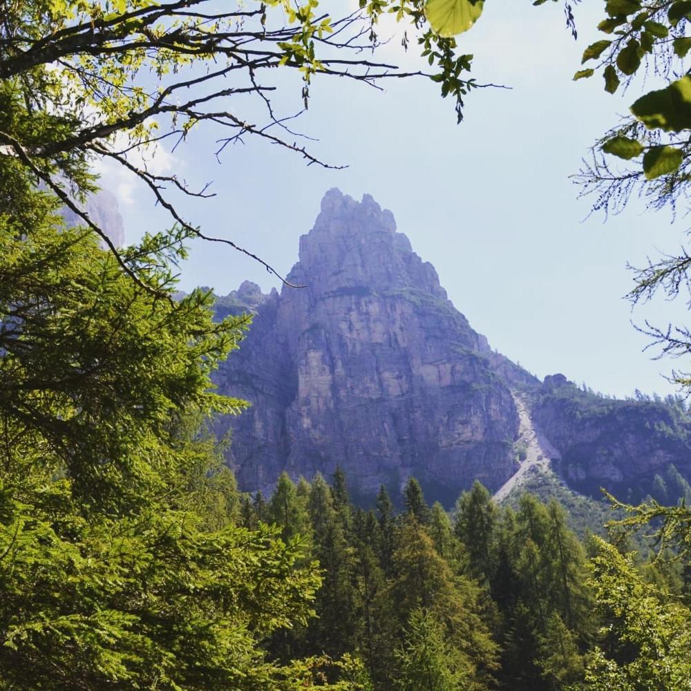 Mountain Apartman Alleghe Szoba fotó