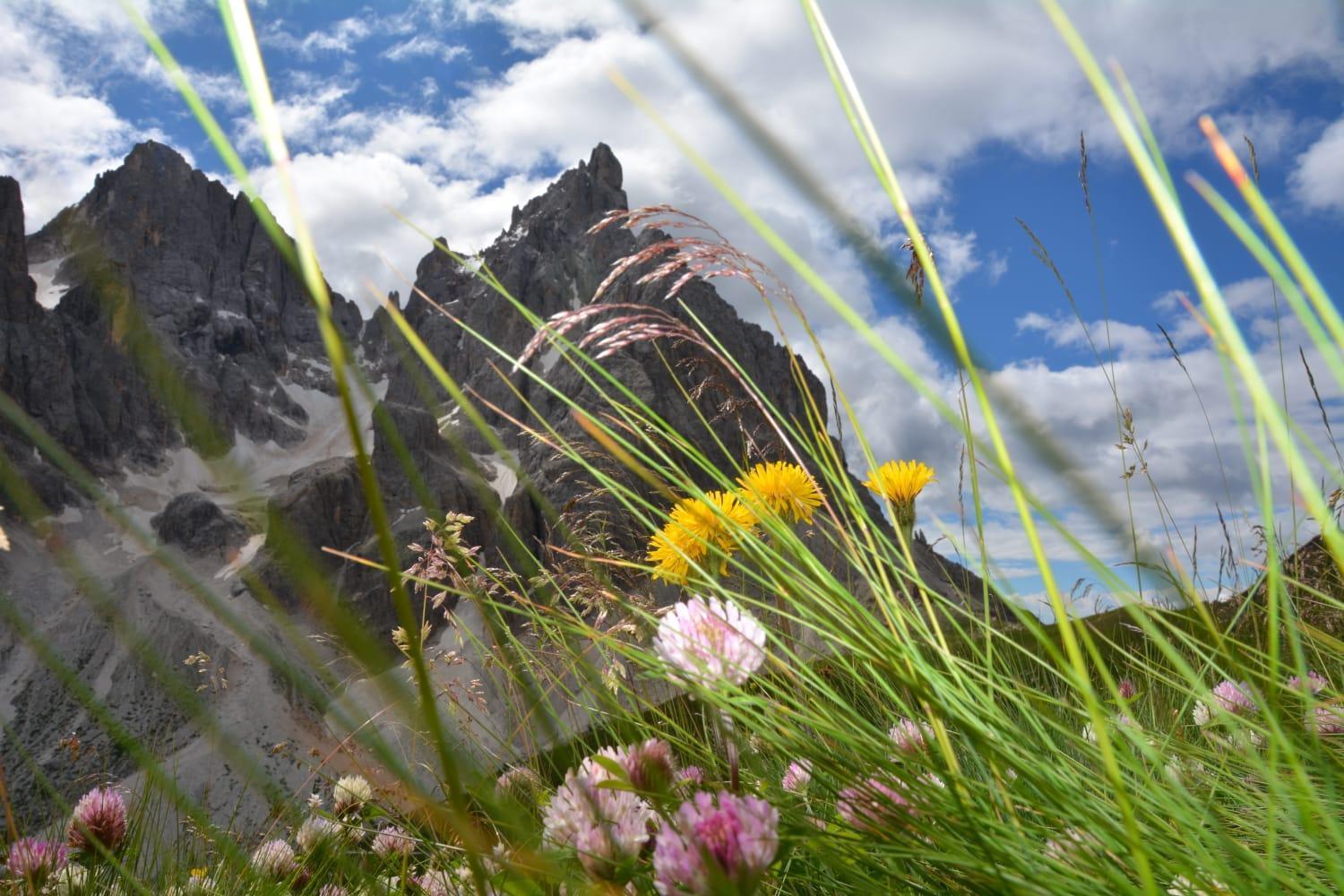 Mountain Apartman Alleghe Szoba fotó