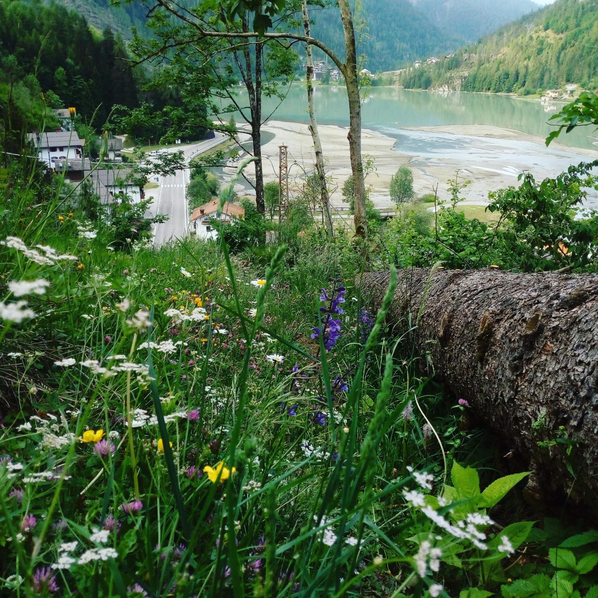 Mountain Apartman Alleghe Szoba fotó